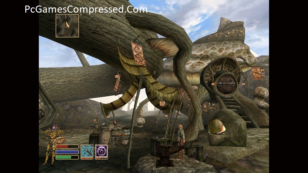 The Elder Scrolls III Morrowind Gameplay