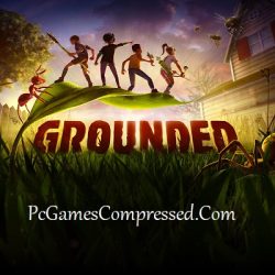 Grounded Highly Compressed