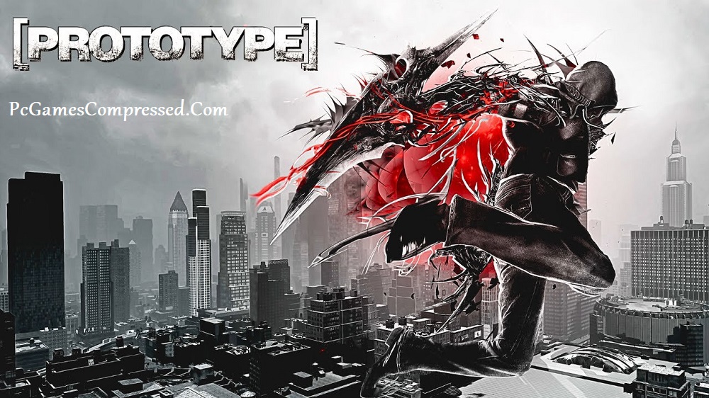 Prototype Highly Compressed